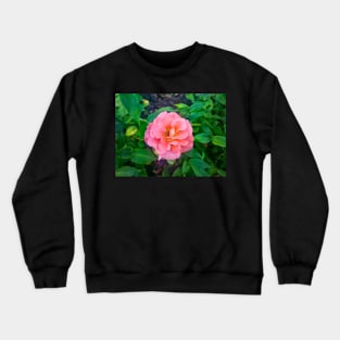 Pink Rose Crewneck Sweatshirt